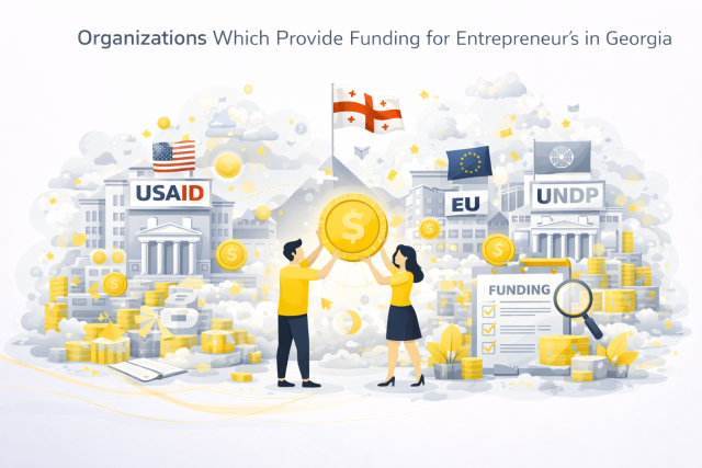 dafinanseba qartul startupebs